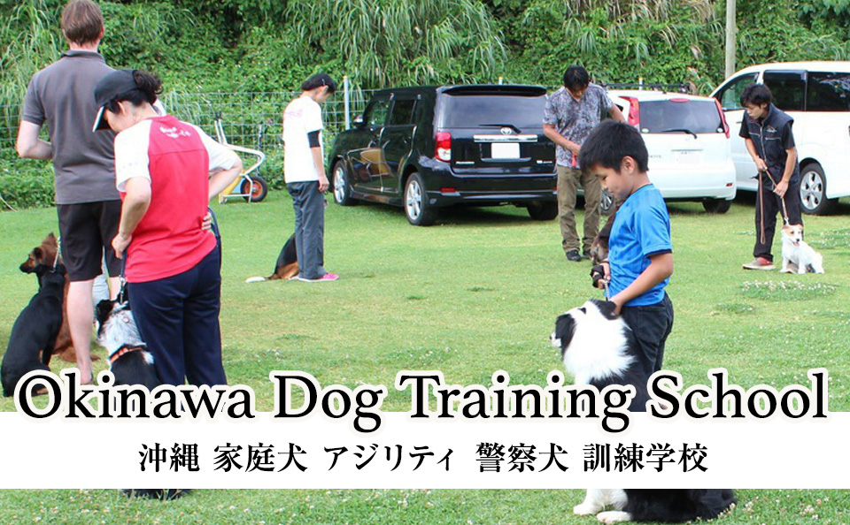 沖縄 家庭犬 アジリティ 警察犬 訓練学校
