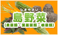 島野菜（果菜類・葉茎菜類・根菜類）